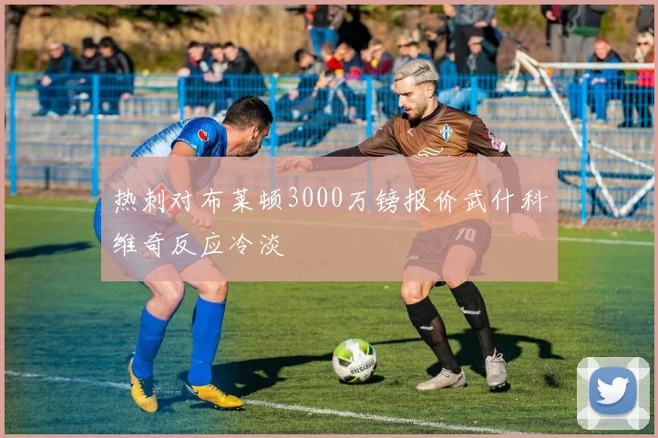 热刺对布莱顿3000万镑报价武什科维奇反应冷淡