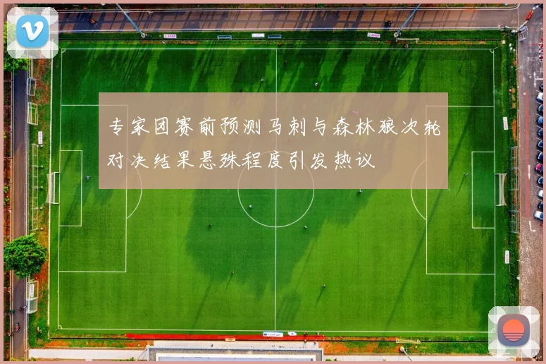 专家团赛前预测马刺与森林狼次轮对决结果悬殊程度引发热议
