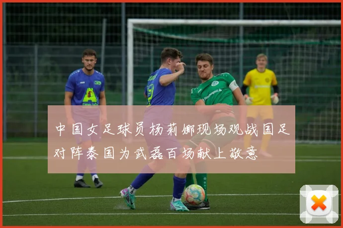 中国女足球员杨莉娜现场观战国足对阵泰国为武磊百场献上敬意