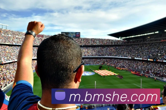 MKSports官方网站入口APP 高清赛事图